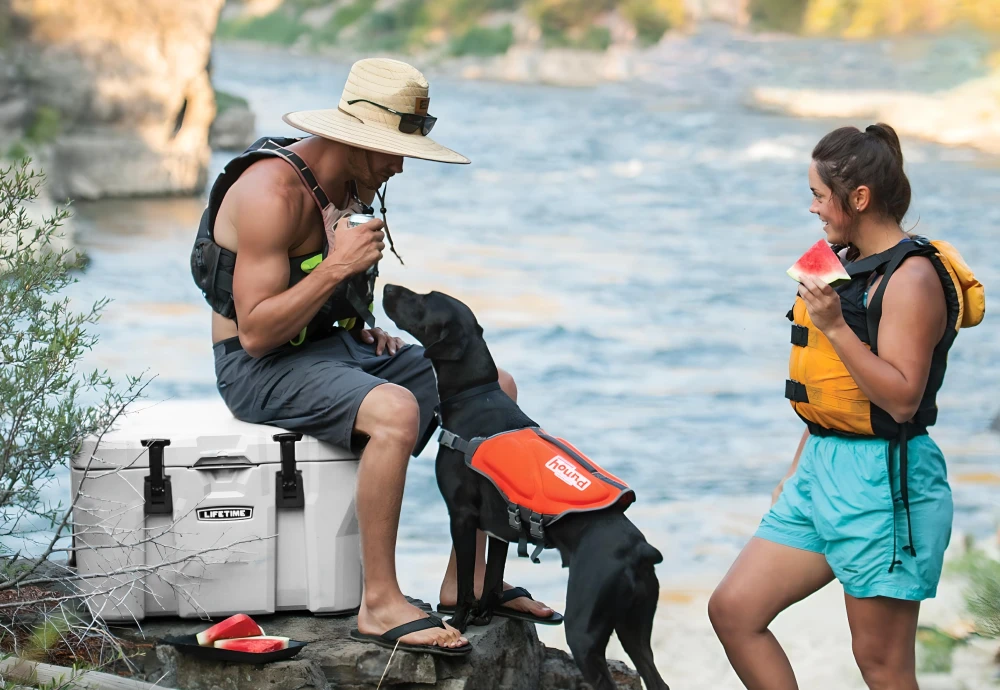 portable cooler box for car